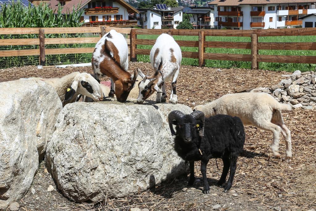Lerchnhof Farm stay Olang