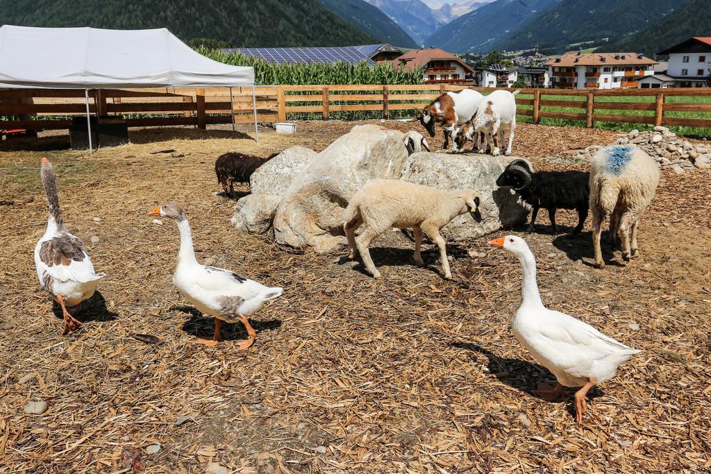 Séjour à la ferme Lerchnhof